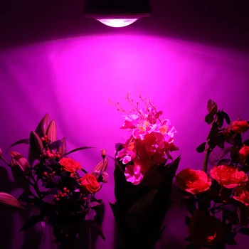 (2vnt/Lot) Visą Spektrą 150W E27 COB LED Augti Šviesos efektą Sukeliančių Palapinė Patalpų Augalų, Gėlių, Daržovių, Žolių Auginimo Vietoje Lempos