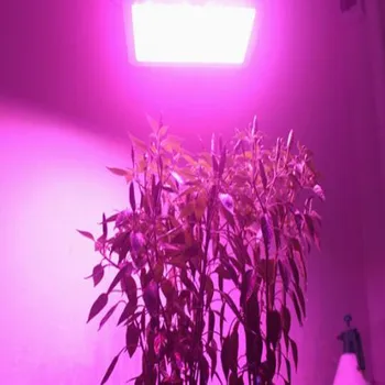 2VNT visą spektrą augalų auga COB LED 150w ac220V didelio galingumo Prožektorius Granulių gimimo data Chip stabdžių Žaibo 4KV nemokamas pristatymas