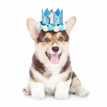 Aukštos Kokybės Naminių Kačių ir Šunų Birthday Party Hat Vienerių iki Penkerių Kepurės Pirmojo Gimtadienio Princess Crown Šalies Šuniukas, Kačiukas, Džiaugtis Lankelis