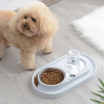 Automatinis šunų maisto dubenėlį tiektuvą, skirtą su stovu nerūdijančio plieno maisto konteinerį katę vandens dubenėlį accesorios augintiniai prekės produktus