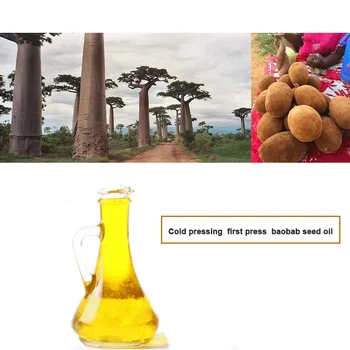 Baobab aliejus 50ml sėklų šalto spaudimo žalios paspaudus aliejus drėkina ir remontas išlaikyti