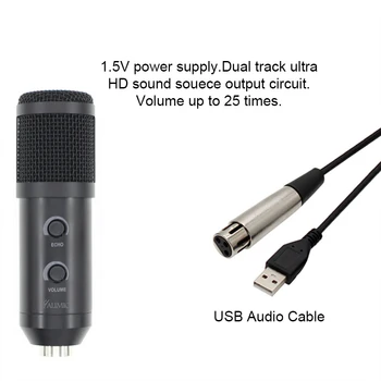 BM 900 USB Mikrofonas Kompiuterio Kondensatoriaus Studija Karaoke Mic PC nemokamas pristatymas