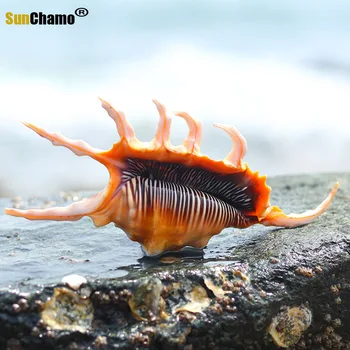 Nauji Gamtinių Myli Shell Žuvų Bakas Kraštovaizdžio Puošmena Viduržemio Jūros Micro Kraštovaizdžio Rekvizitai Dovanėlės Stalo Puošybos Pavyzdžiai
