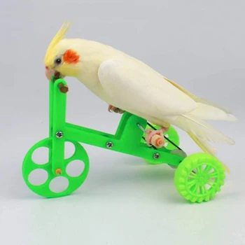 Papūga žaislas mokymo dviračių paukščių mokymo reikmenys rekvizitai dviračių mokymo švietimo žaislai, vaikų dovanų