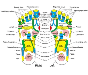 Refleksologija Vaikščioti Akmens 1Pc Akupunktūra Akmenimis Koja Kojos Skausmui Sumažinti Paramos Vaikščioti Massager Kilimėlis Pėdų Refleksologijos Masažas Padas