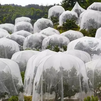 Sodo Augalų Krūmų Padengti Augalų Apsaugos Antklodė Šalčio Žiemą Augalų Apsaugos Šviesą Atspindinčios Plėvelės Konservatorijos Specialios Šiltas Filmas