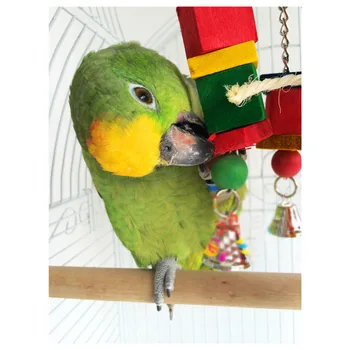Spalvinga Papūga Paukštis, Žaislai, Sūpynės, Medienos Kramtyti Virvę Žaislai Dekoratyvinis Kabinti Ornamentu su Bell Naminių Paukščių Kabantys Žaislai, Naminių Reikmenys