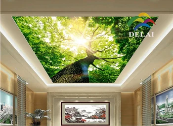 T-1611 Didelis Medis su dideliu bagažo skyriaus spausdinimo lubų kino saulės per medis, statybinės medžiagos, lubų apdaila