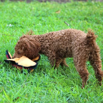 Triušis Šunų Cypimas Žaislai Mielas Gyvūnų Interaktyvus Slėpynių Pliušinis Įspūdį Šunų Žaislai Vidutinės Mažos Šunų Dantys Kramtyti Moliniai Žaislai