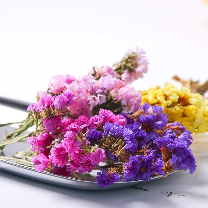 Nekilnojamojo Džiovintos Gėlės Sausų Augalų Kvapų Žvakė Natūralių Džiovintų gėlių, nepamirškite man violetinės gėlės 
