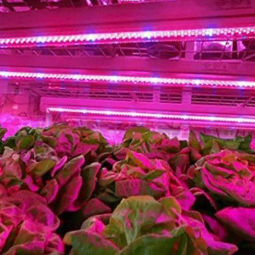 MeterMall 5M 12V LED Augalų Auga Juostelės Šviesos Pilno Spektro Šviesos Virvė Daržovių Auginimo Sodininkystės Pramonės Daigų
