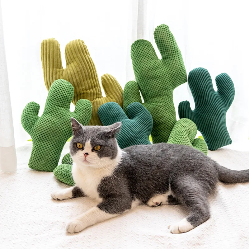 Kaktusas Katžolių, Kačių Žaislas Augintiniui Pliušinis Kramtyti Šuns Žaislai Dantų Šlifavimo Kramtomoji Patvarus Vilkikas Atnešti Bite Žaislai Mažas Vidutinis Didelis Katės Šunys