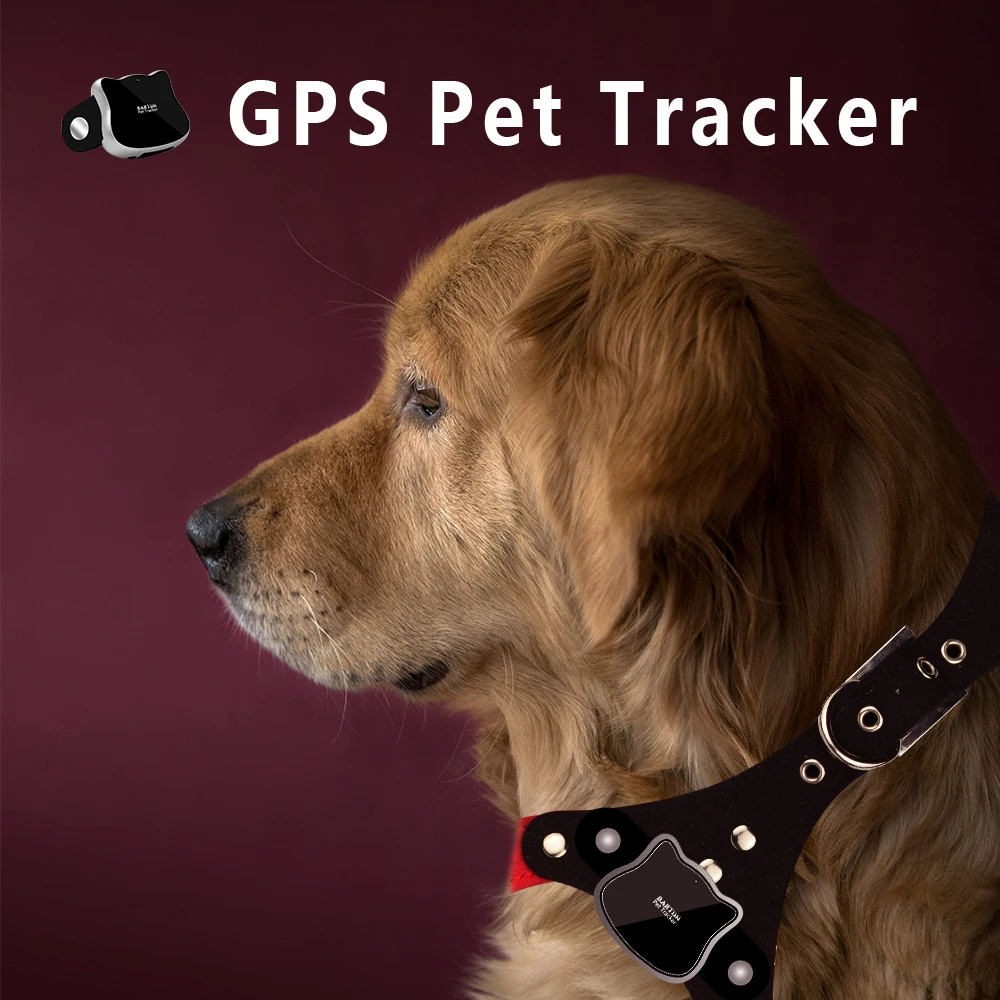 MiNi Vandeniui Augintiniai Apykaklės GSM GPS Tracker Locator Rastreador Sekimo GPS LBS WIFI Realiu Laiku Šunų Kačių Kelio Geofence Prietaisas