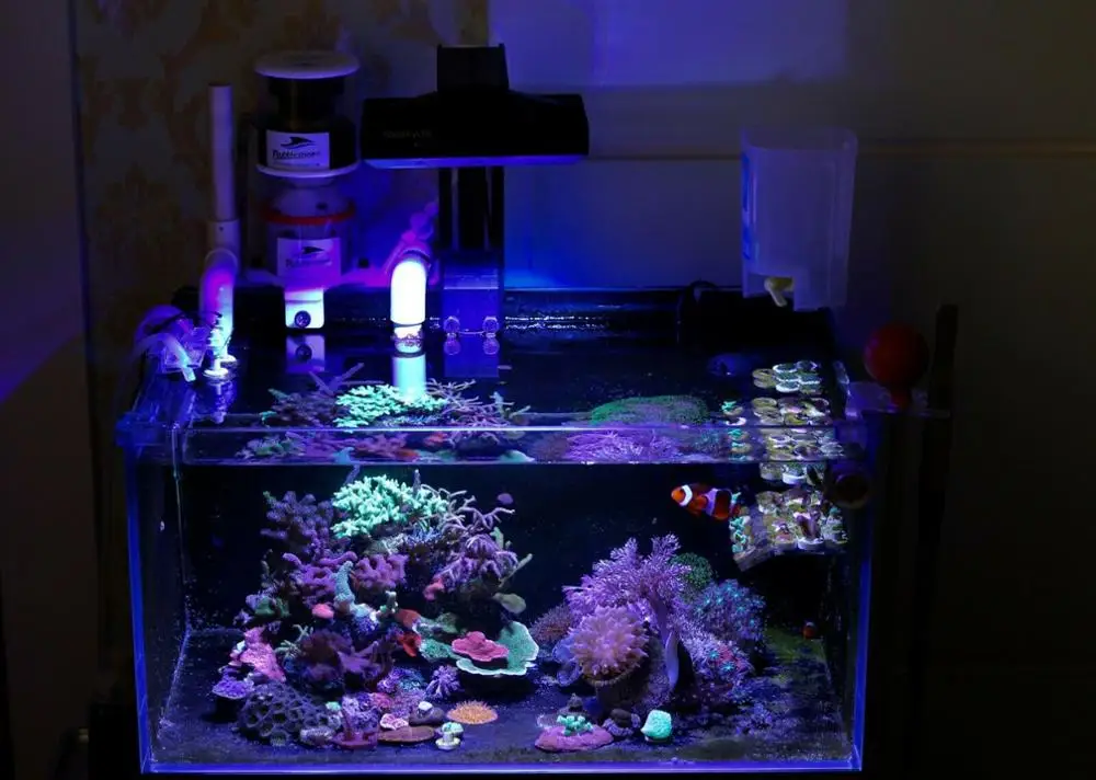 LED Šviesos Akvariumas Patalpų Akvariumas Šviesos Sūraus vandens, Apšvietimo su Touch Control Koralų Rifų Žuvis talpa Noopsyche K7 II