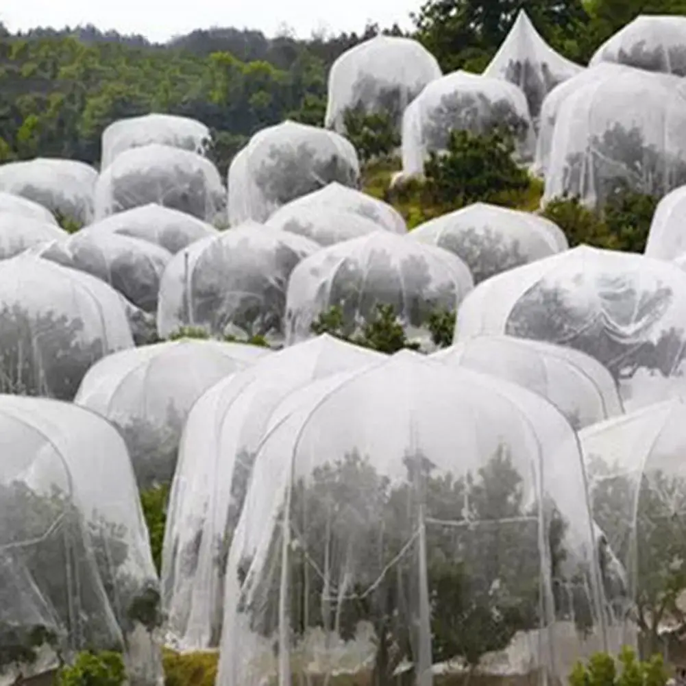 Sodo Augalų Krūmų Padengti Augalų Apsaugos Antklodė Šalčio Žiemą Augalų Apsaugos Šviesą Atspindinčios Plėvelės Konservatorijos Specialios Šiltas Filmas