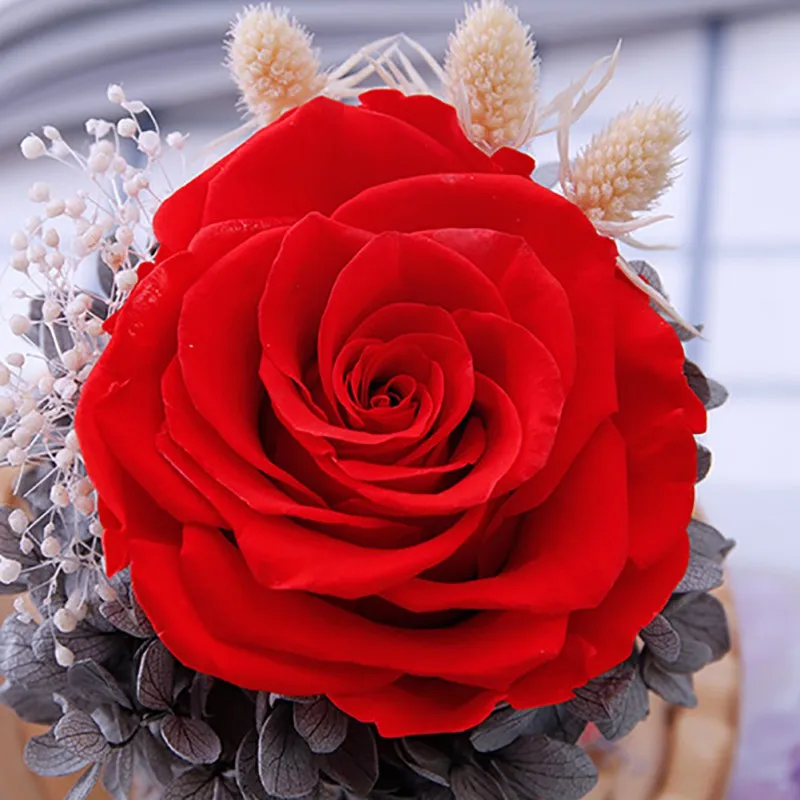 Grožio Ir Žvėrys Konservuoti Valentino Dienos Dovana Everlasting flower Su Stiklo danga Rožių Stiklo Kupolas Motinos Diena Dovana