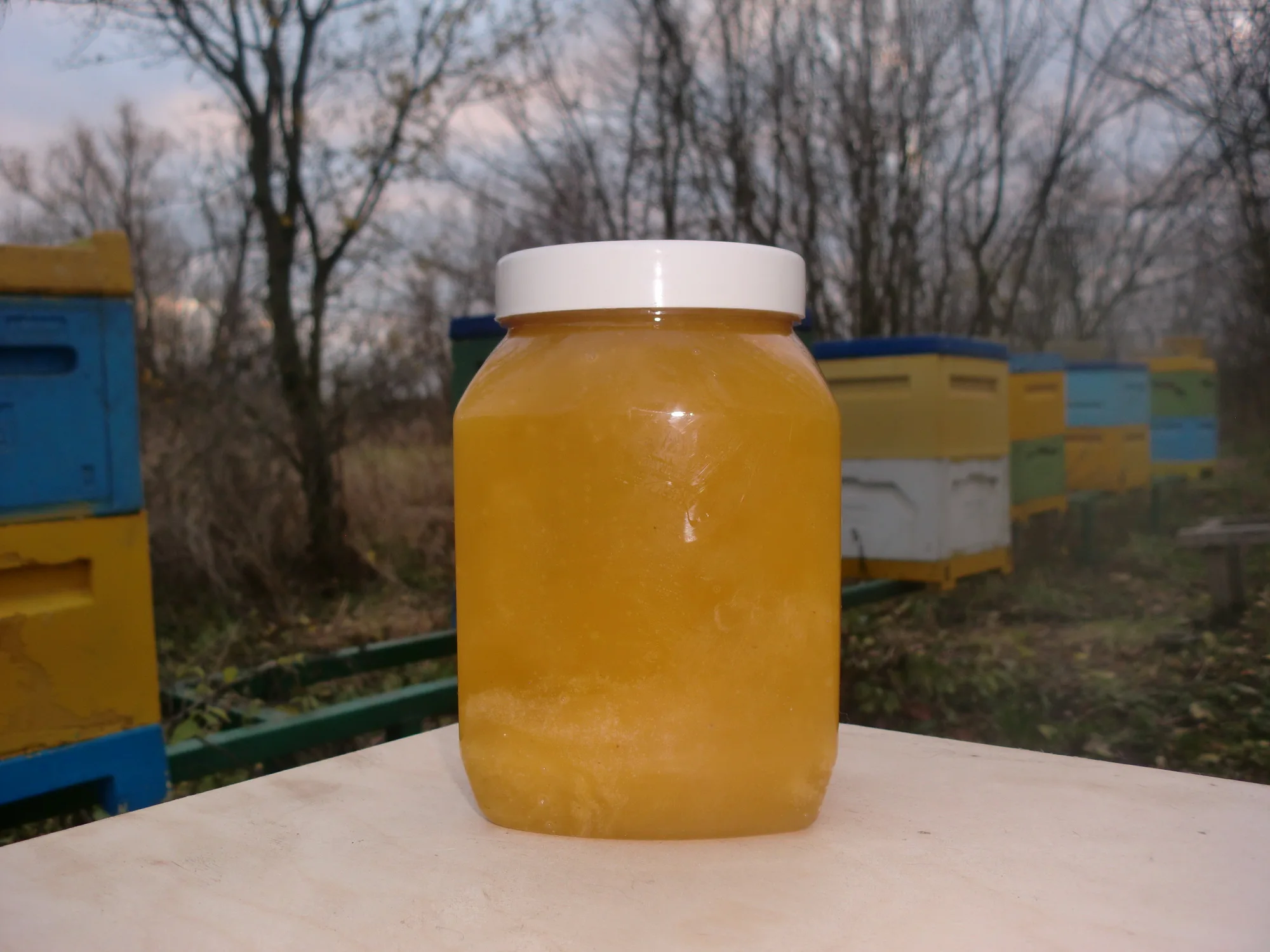 Natūralus liepų medus iš kaimo 1 litro (1,5 kg).