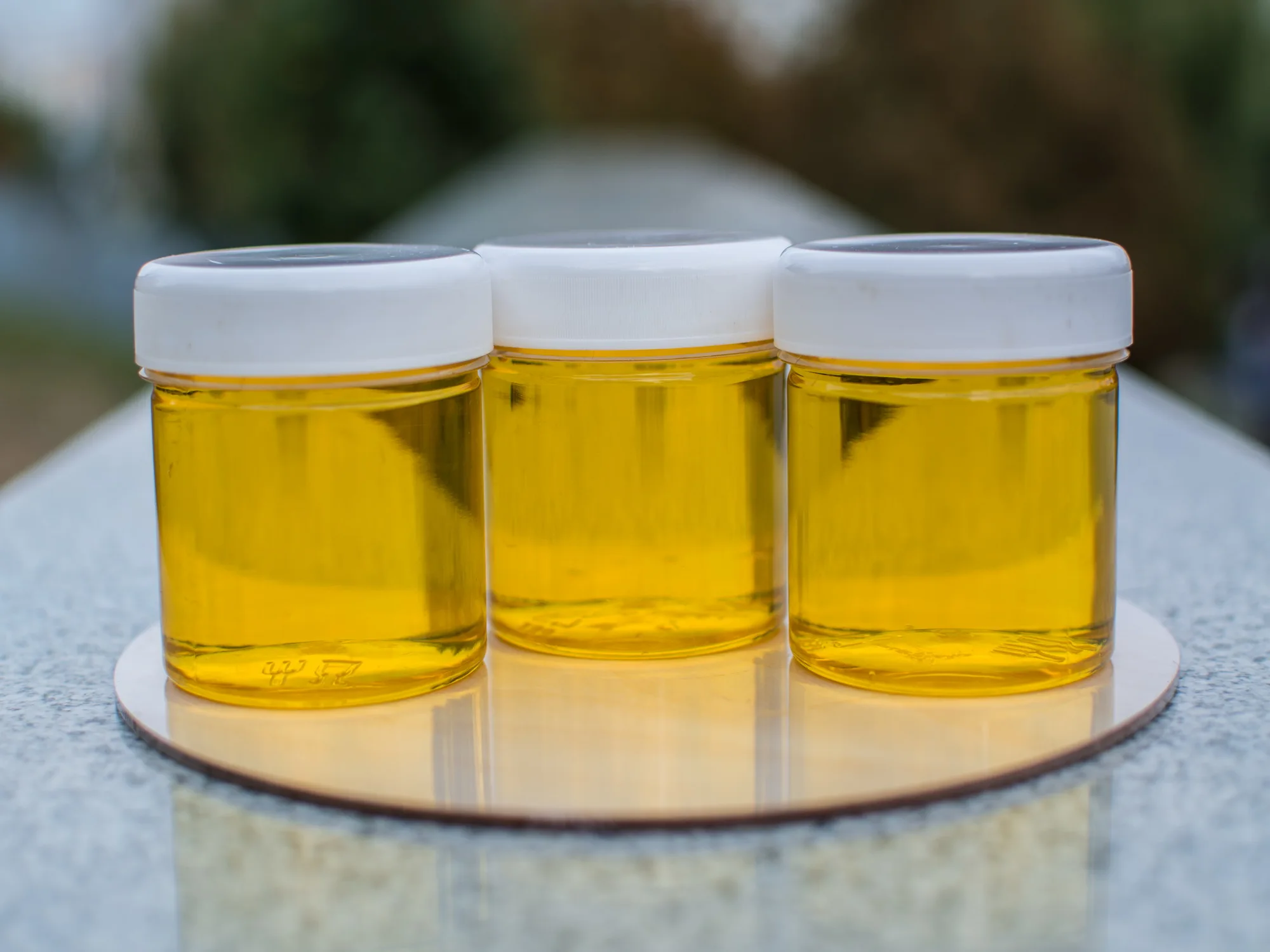Natūralus liepų medus iš kaimo 1 litro (1,5 kg).