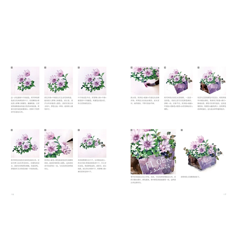 Spalvų Kolekcija Gražių augalų, Gėlių Akvarelė Iliustracija Tapybos, Piešimo Meno Knyga Pradedantiesiems