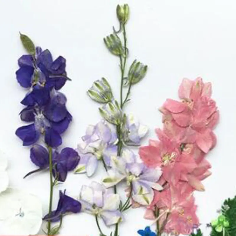 6pcs Džiovintos Gėlės Nagų Papuošimai Papuošalai Natūralių Gėlių Lapų Lipdukai 3D Nagų Dailė Dizaino Sprendimus, Nagų Priedai