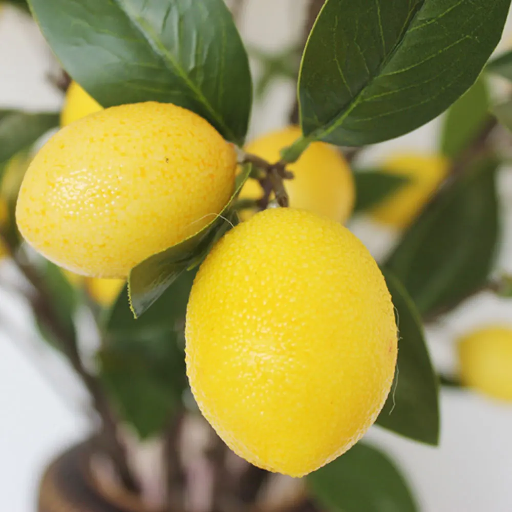 Modeliavimo Citrinų Filialas Dirbtinių Gėlių Kompozicijų Fotografavimo Rekvizitai Mini Lemon Tree Dekoro Augalų Buveinės Vestuves Apdaila