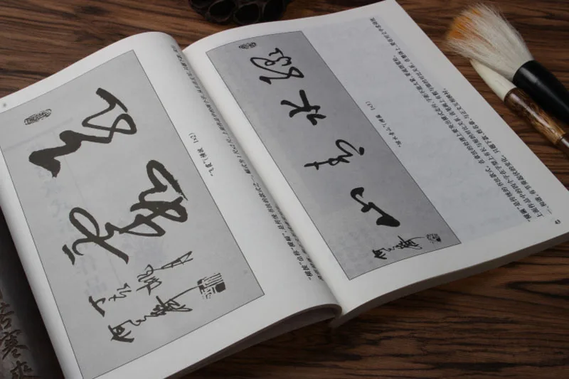 Kinijos Teptuku nurodo kitaip Kaligrafija Knygos Shu Fa 