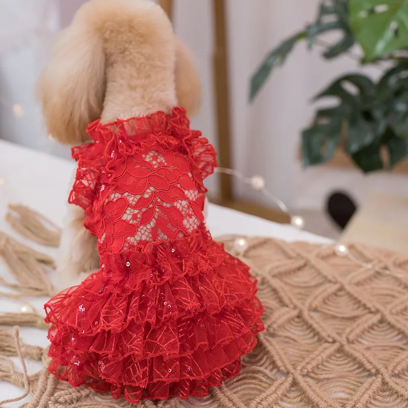 Nemokamas Pristatymas Rankų Darbo Drabužius Šunims, Šunų Suknelė Raudonos Nėrinių Tuščiaviduriai Modelis Pet Tutu Vest Kačių Apranga Pudelis Maltos Yorkie