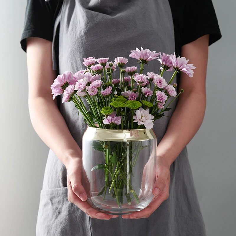 Kūrybos Paauksuotas stiklo vaza Hydroponic aparatai, terariumai, gėlių vaza šiaurės apdailos namų vazos centerpieces vestuvėms