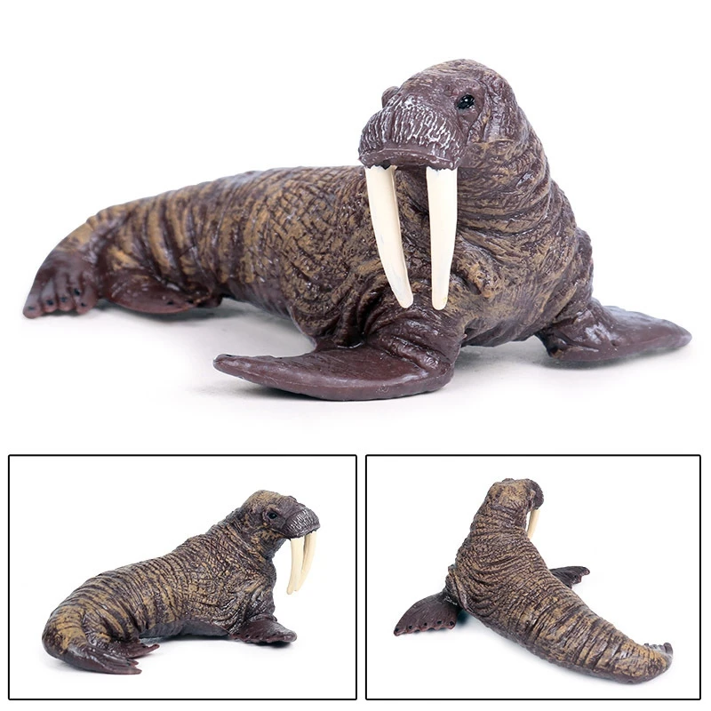 Sea Life Gyvūnai Jūrų Vėplio Modelis Figūrėlės Imitavimo Modeliai Žaislai