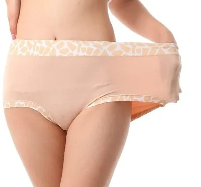 2vnt/daug Underwears Moterų Kelnaitės iš Bambuko Pluošto Akmens Modelio Plius Dydis 6XL Ūgio Juosmens Moterų kelnės