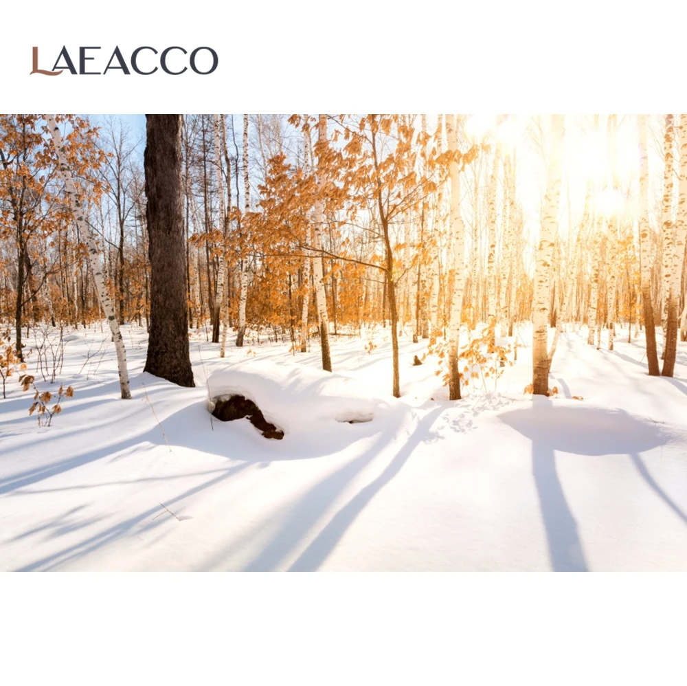 Laeacco Žiemos Miško Natūralaus Sniego Peizažo Fotografijos Fonas Medį, Saulės, Photocall Fotografijos Fone Fotostudija