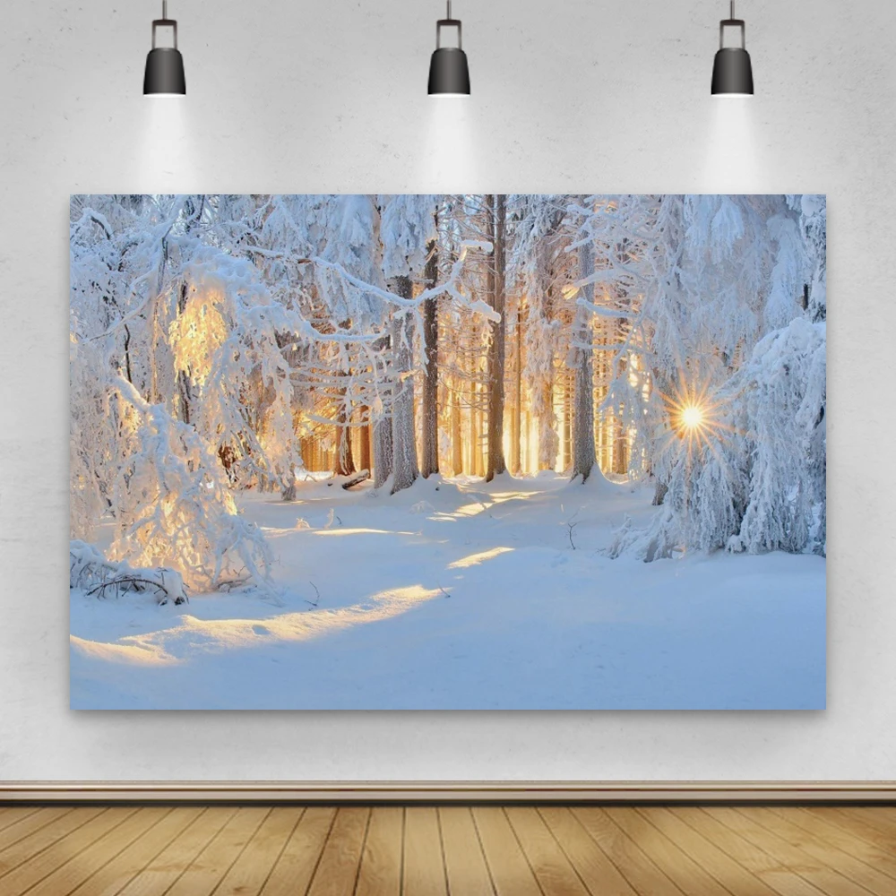 Laeacco Žiemos Miško Natūralaus Sniego Peizažo Fotografijos Fonas Medį, Saulės, Photocall Fotografijos Fone Fotostudija