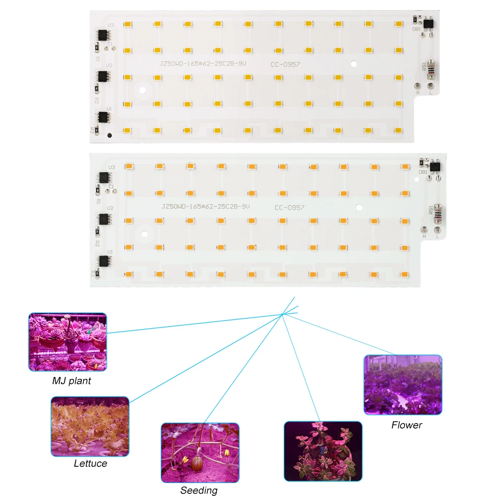 Viso Spektro LED Grow Light Phytolamp Augalų Asortimentą Chip SMD2835 50W Namų Patalpų Apšvietimas Palapinę Lauke Lempos Gėlių