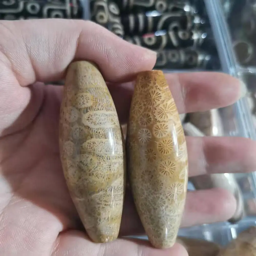Gamtos Ammonites Chrizantemų Koralų Jade Dzi Granulių aiškios tekstūros ir ilgą istoriją. Unikalus organinių brangakmenių sudėtis