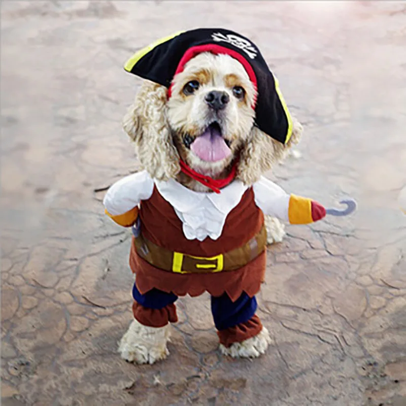 Šunelis Kostiumas Kietas Karibų Jūros Piratai Stiliaus, Katės Kostiumai Helovyno Cosplay Šuo
