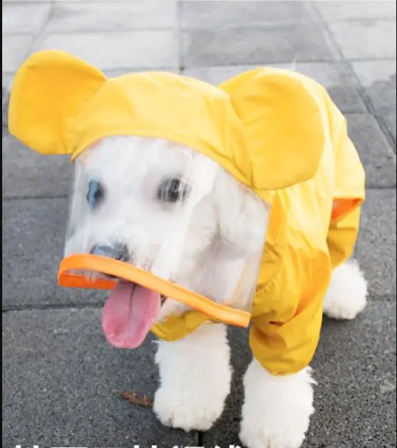 Šunelis lietpaltis Viskas įskaičiuota animacinių filmų vandeniui Teddy keturių pėdų poncho Šuo Lietpaltis Mažų šunų šuniukai rudenį ir žiemą