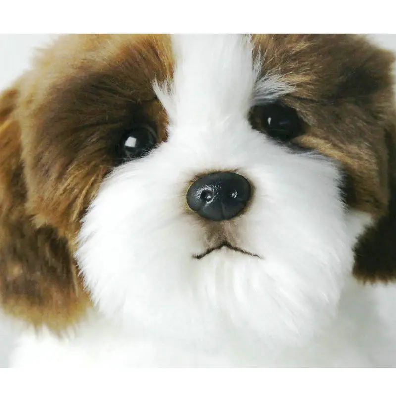 Modeliavimo šuns iškamša žaislai super Realus Papillon pliušinis šuo lėlės Pekingese žaislai vaikams prabangos kokybės namų dekoro
