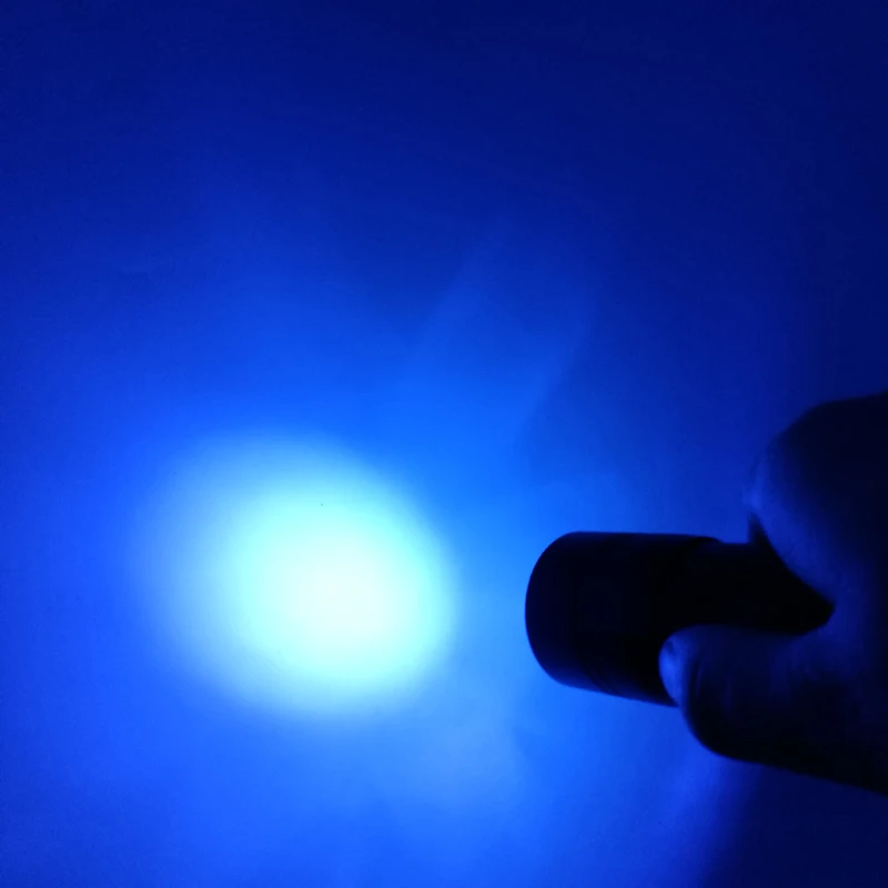 1pcs/maišas Mini Nešiojamieji ultravioletinės Šviesos Lempos Žibintuvėlis 12 LED Skristi Susiejimas Buzzer Klaidą Nimfa, UV Klijai Gydant Žvejybos Muses Padaryti