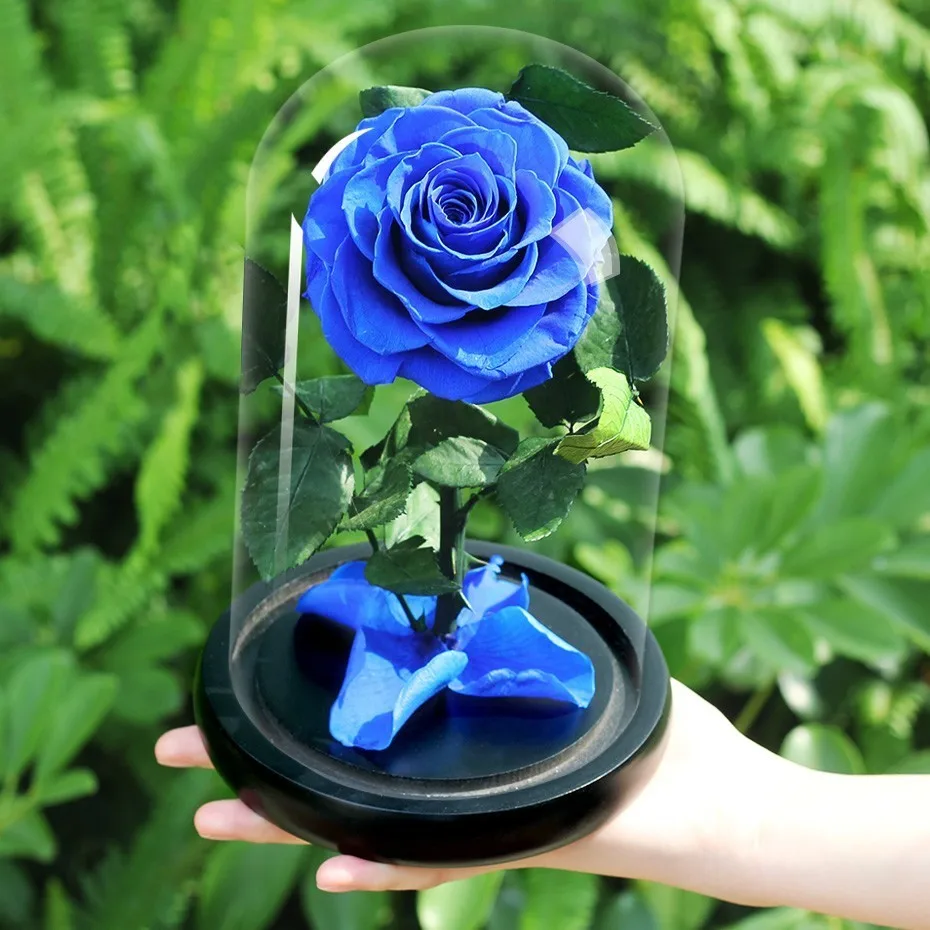 Eternal Rose Flower Su Stiklo Kupolas Juoda Bazė Dirbtinės Gėlės Dovana Valentino Dienos, Kalėdų Dovana, Namų Puošybai
