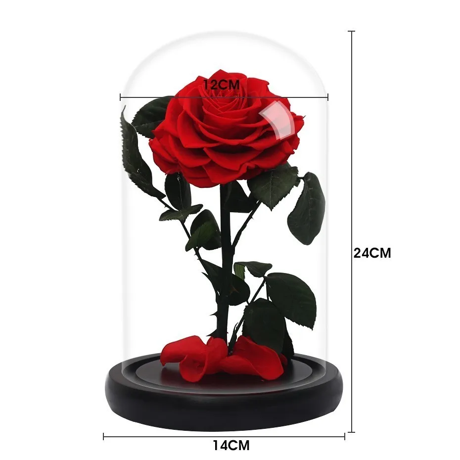 Eternal Rose Flower Su Stiklo Kupolas Juoda Bazė Dirbtinės Gėlės Dovana Valentino Dienos, Kalėdų Dovana, Namų Puošybai