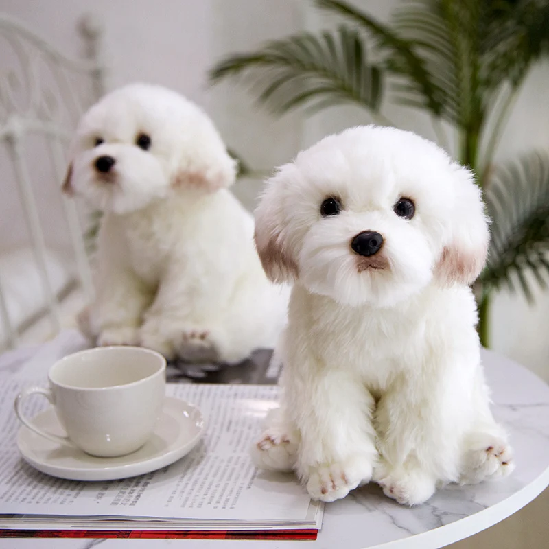 Bichon Frise Mažylis iškamša Šuo Modeliavimas Augintiniai, Šunų Lėlės Pliušinis Žaislas Minkštas Pūkuotas Kūdikių Lėlės Įdaryti Šunų Žaislas Vaikui Dovana