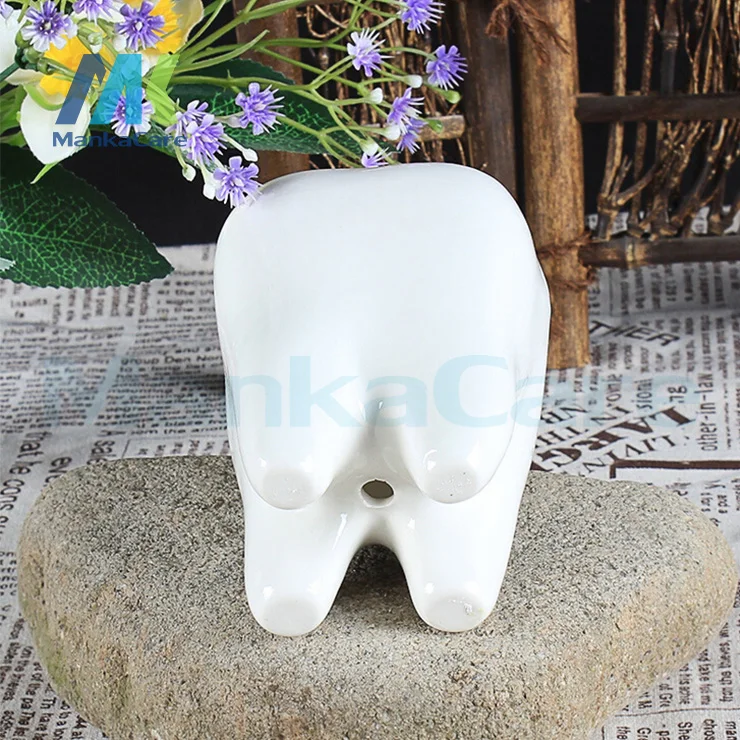 2 Vnt. Dantų Shap Sielovados Stiliaus Baltos Keramikos augalų Vazonuose Dantų modelio Vazonas Gėlių Sodas Puodai Pieštuku Vaza Dantų dovana