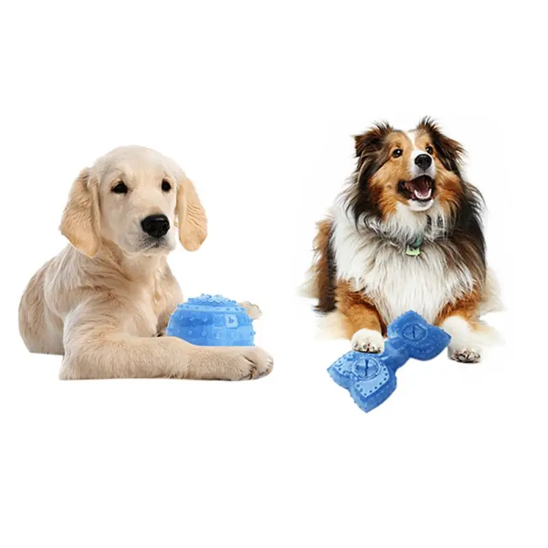 Šunų Įkandimo Kramtyti Žaislas TPR Ištekėjimo Maisto Juokinga Užšaldyti Žaislas Kamuolys Kaulų Dizaino Aušinimo Teether Šuo Vasaros Žaislas Naminių Kačių Produktus