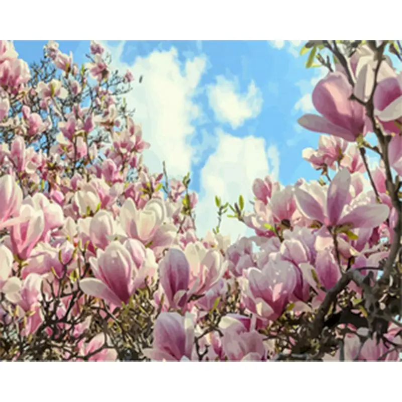 GATYZTORY Rėmo Magnolia Gėlių 