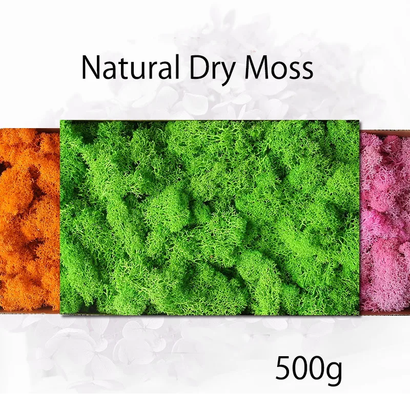 500g Natūralus Sausas Moss Imitavimo Įrenginių Amžinojo Gyvenimo Namų Dekoro Sienos 