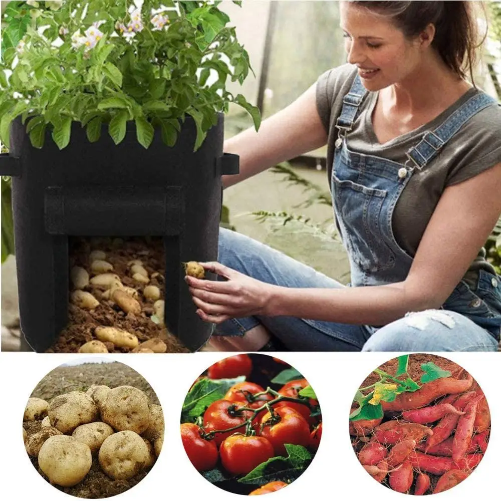 4 Pack Bulvių Augalų Auga Krepšiai Sodinamoji Puodą Šiltnamio Efektą Sukeliančių Daržovių Sėjos Ir Sodinimo Augimo Krepšiai, Drėkina Konteineriai