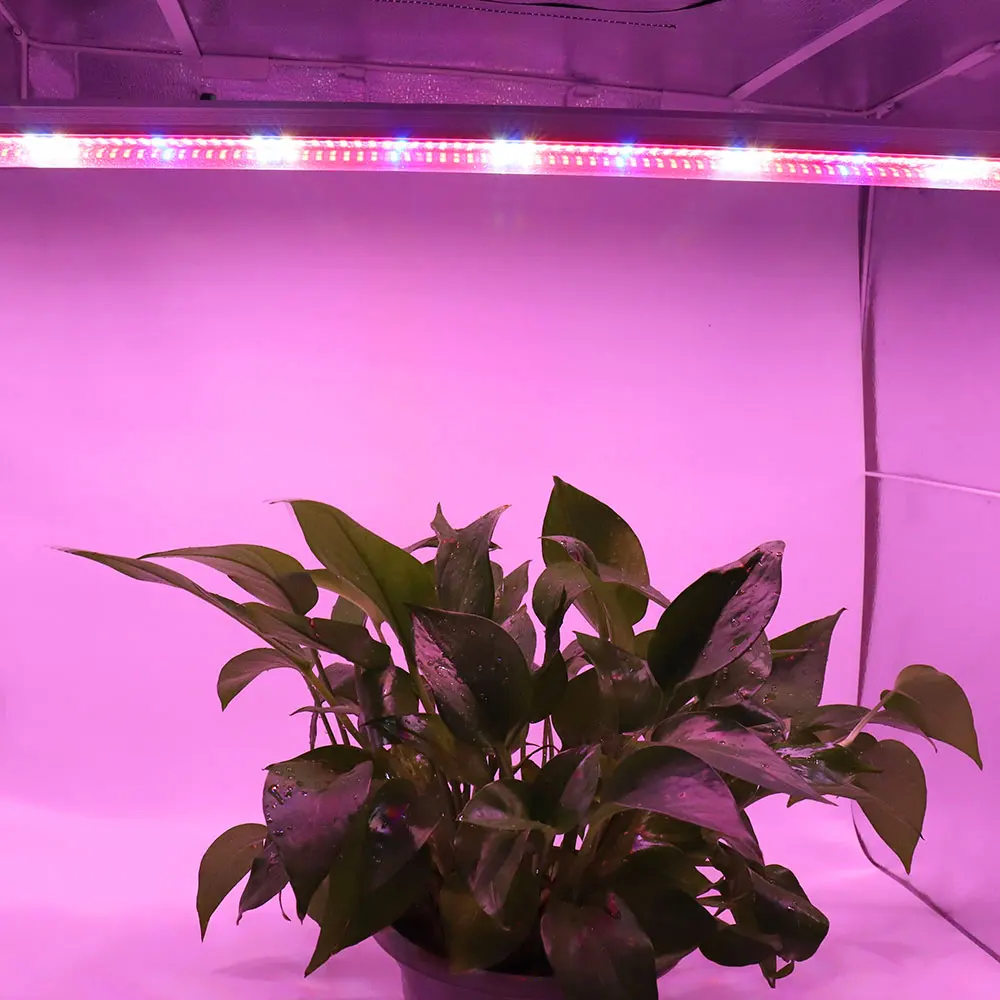 20pcs/daug 120cm T8 LED Vamzdžių Augti Žiburiai Baras Visą Spektrą Fitosanitarijos, Augalų auginimo Lempos hydroponics vegs sodinukai šiltnamio efektą sukeliančių