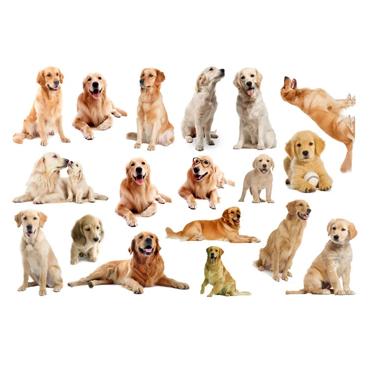 Mielas Šuo 3D Sienų Lipdukai Namų Puošybai Labradoro Šuo Haskis Šuniukas Sienos Lipdukai, Miegamojo Kambarį Meno Tapetai, Lipdukai