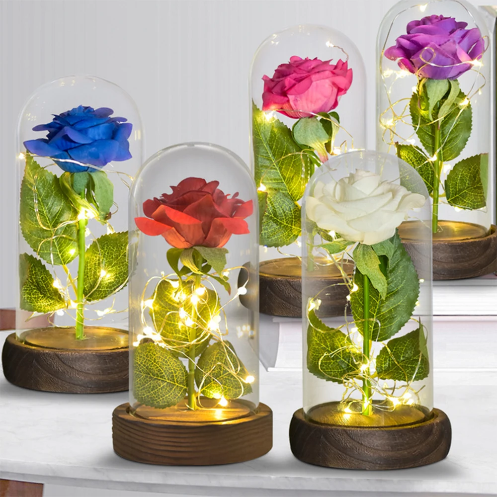 AINYROSE Dirbtinės Gėlės Su LED Šviesos Žibintas, Žvėris Rose Stiklo Kupolas, Vestuvių Valentino Dovanos Kalėdų Gimtadienis