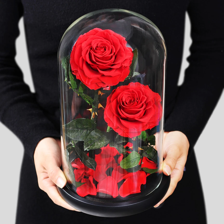 Naujas vestuvių Grožio Ir Žvėrys, Raudona Rožė Kolbą Stiklo Kupolas Valentino Dienos dovana, Namų Stalo Apdailos Amžinos Gėlės
